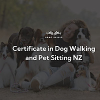 Certificate in Dog Walking & Pet Sitting NZ