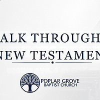 Walk Through the New Testament