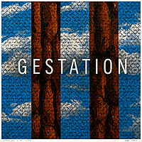 Gestation