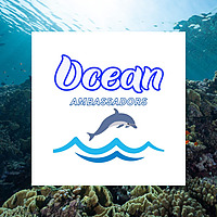 The AICE Ocean Brief