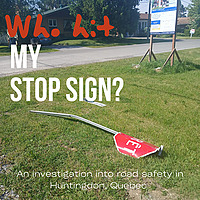 Who Hit My Stop Sign?